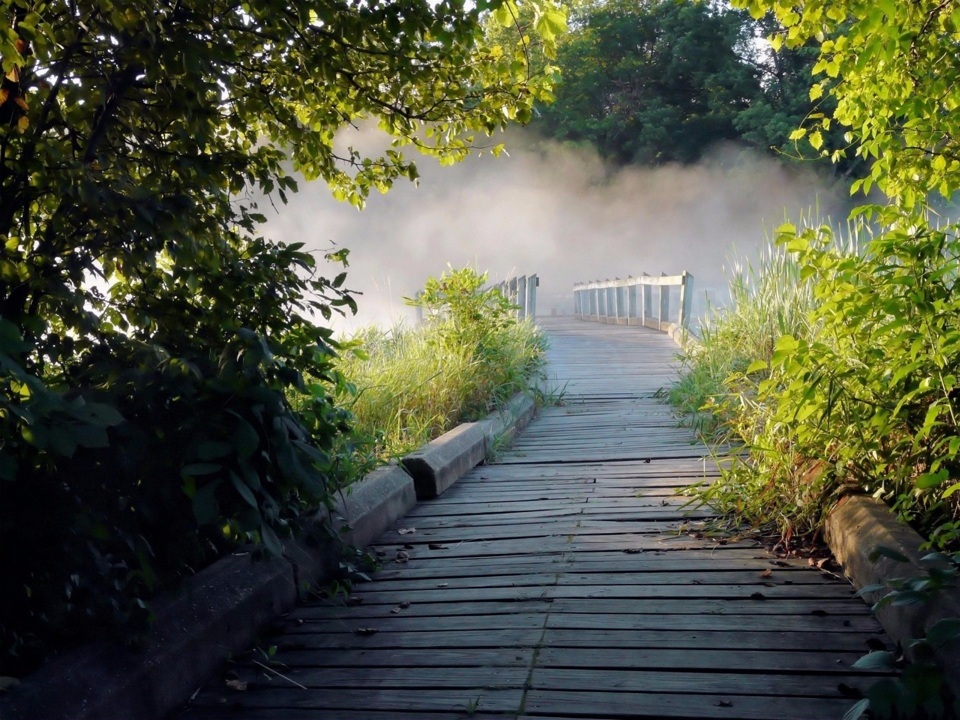ummer fog the bridge