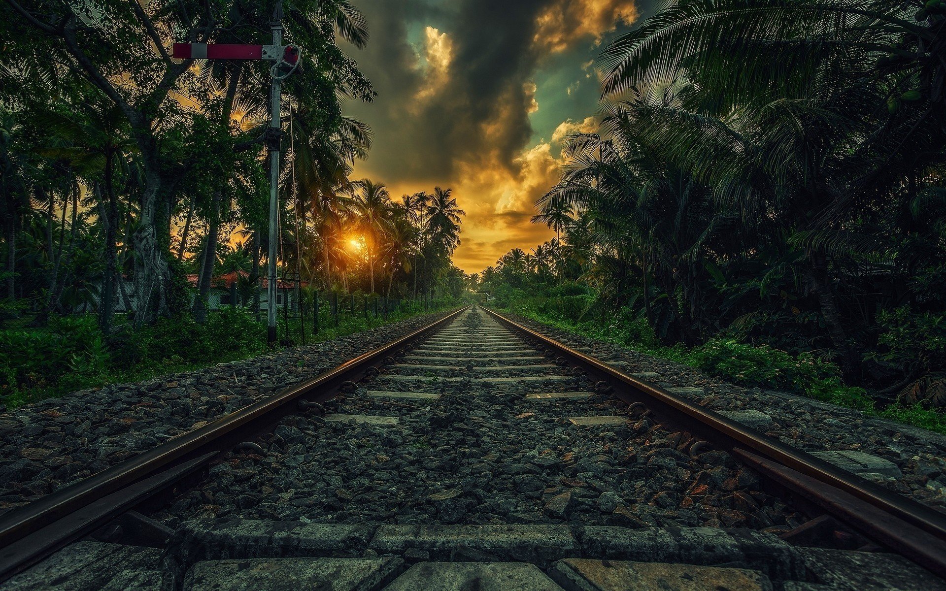 railway rc the superstructure controls moving the way rails resort palm trees sunset beautiful