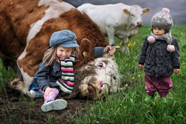 These are the children who defeated the cow