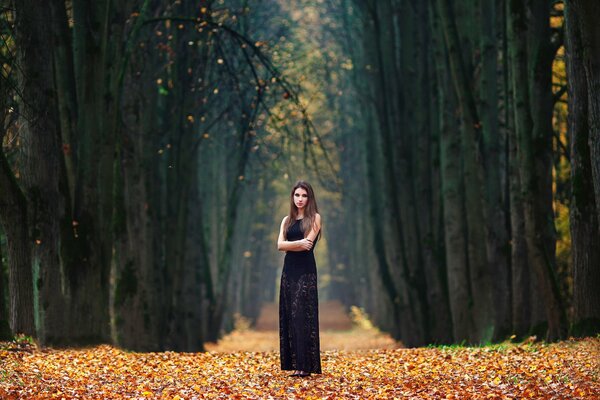 The girl in the alley in autumn