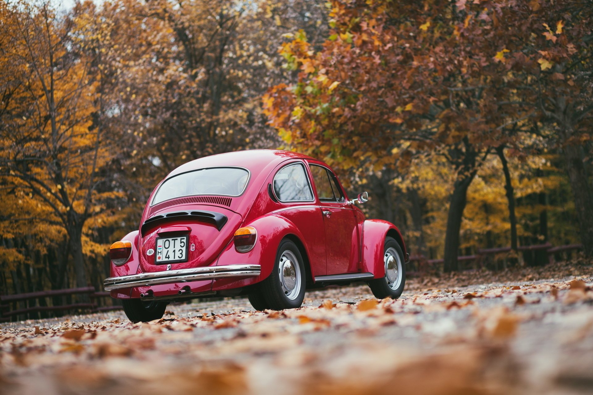 volkswagen retro autumn red back leave