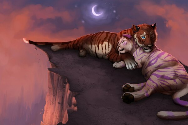The romance of Tiger love