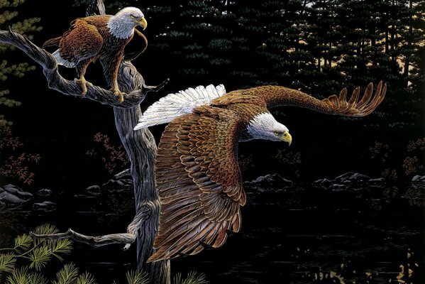 The Eagles family is the strongest of all