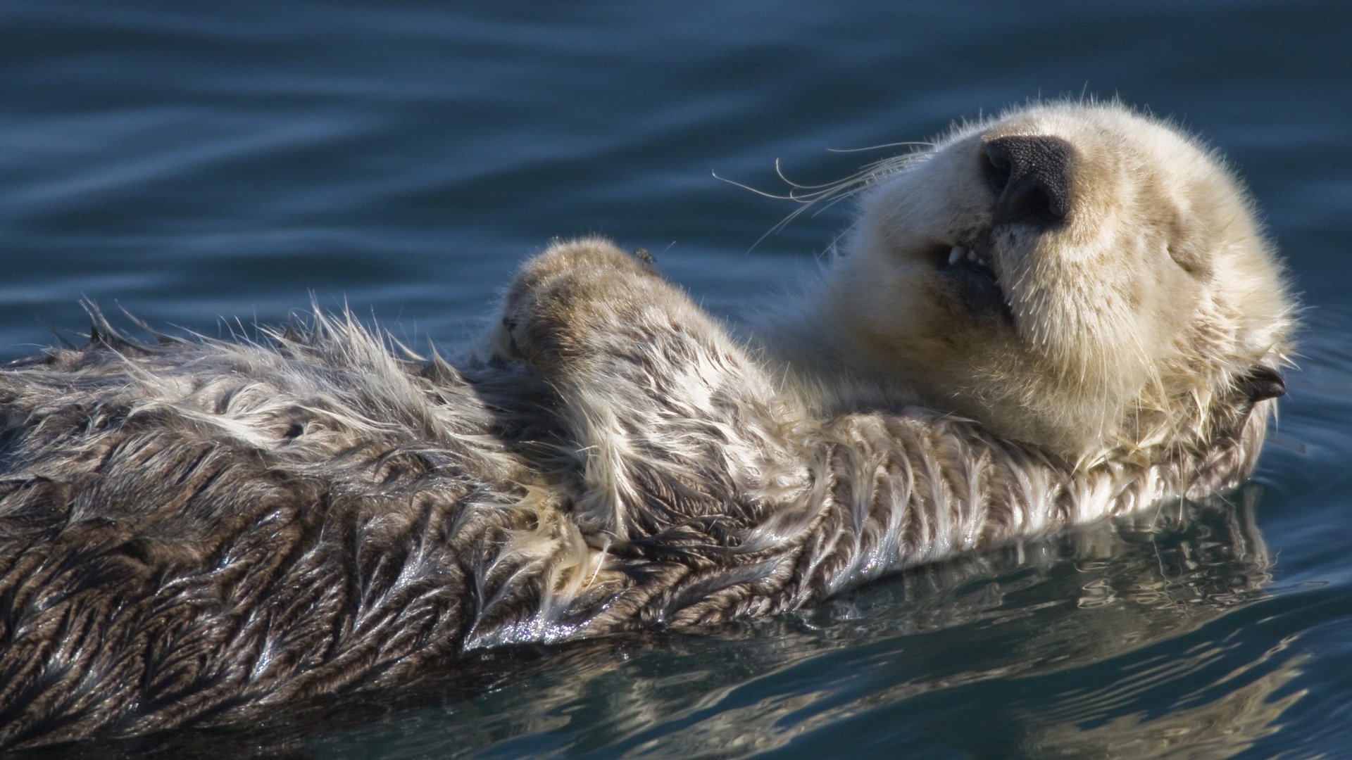 calan water sleeping