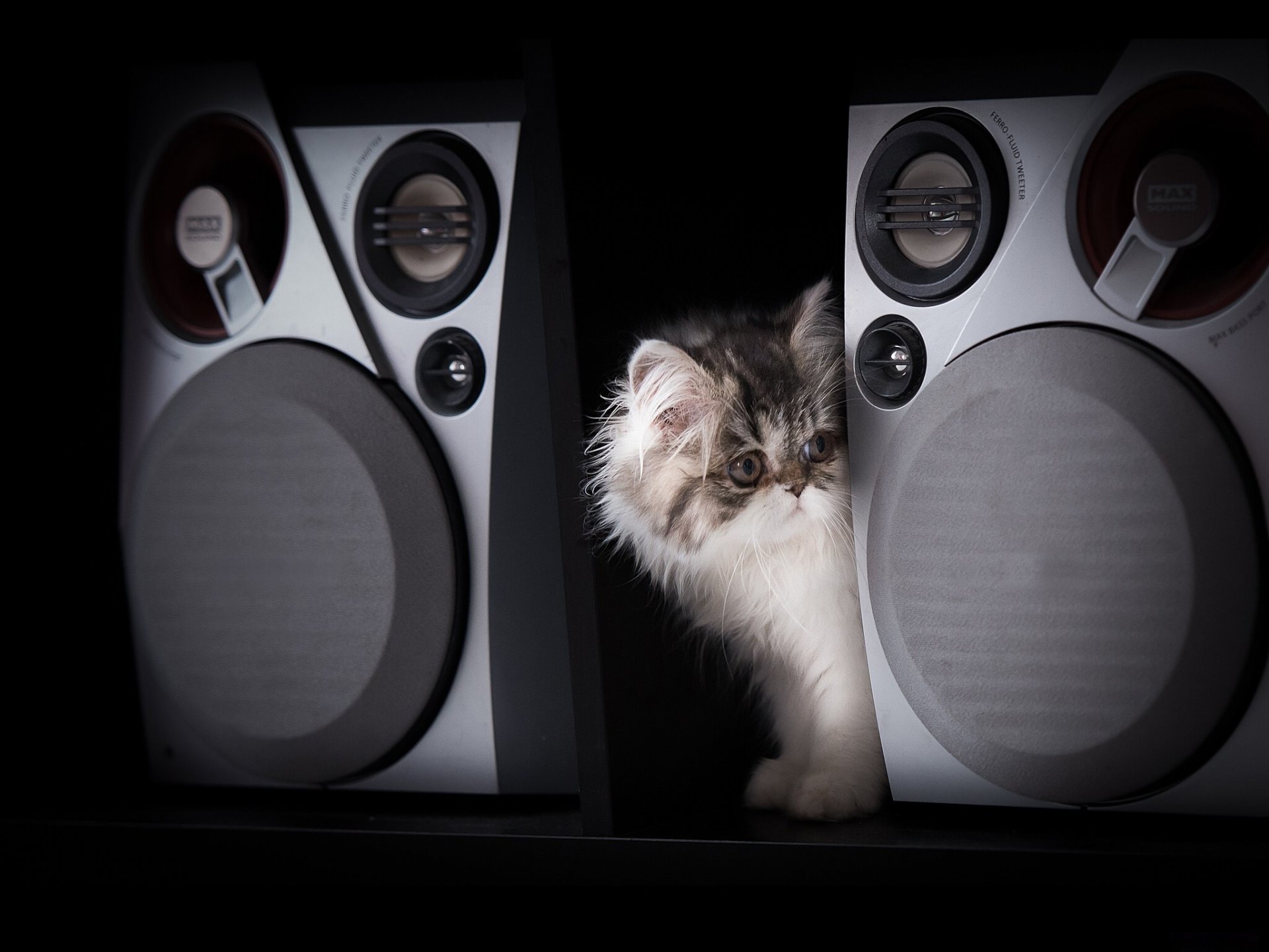 music speaker