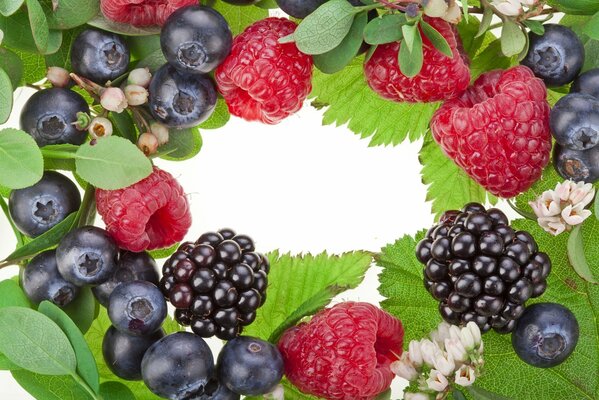 Frame of berries and leaves