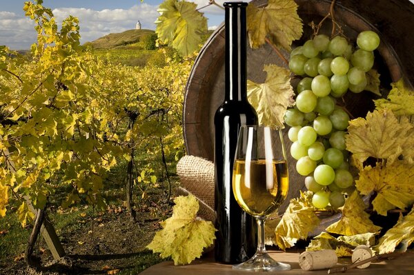 A vineyard with a cask of wine and a glass of wine
