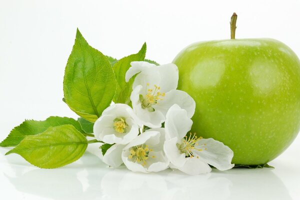 Green apple with leaves and flowers