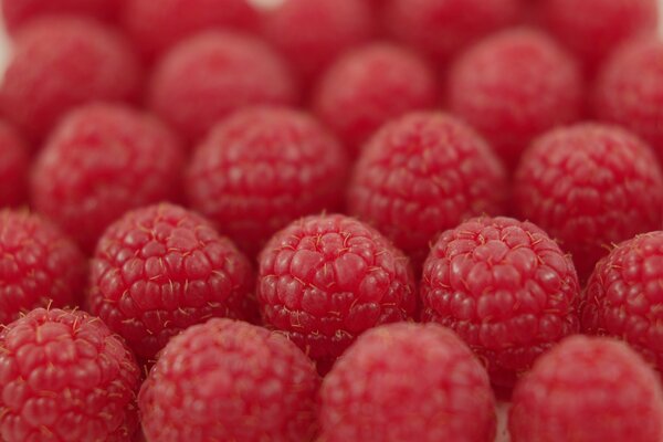 Today we collected raspberries for sale and stacked them in rows so as not to crumple