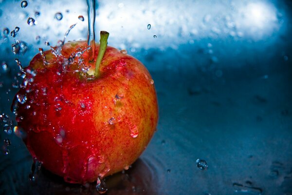 How apples look in the morning
