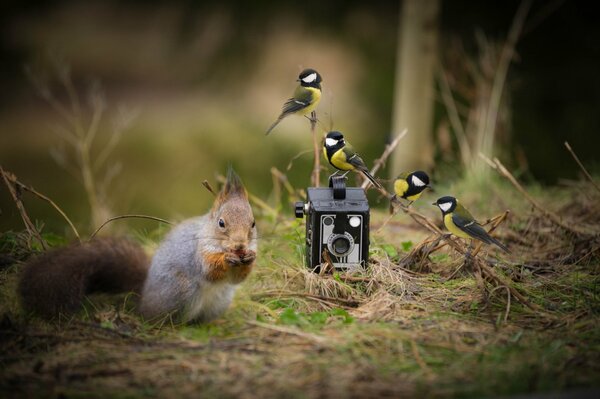 A white man eats a nut in the forest against the background of a camera and a bird