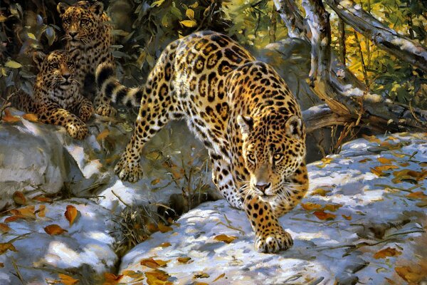 Jaguar in the fall got ready to jump