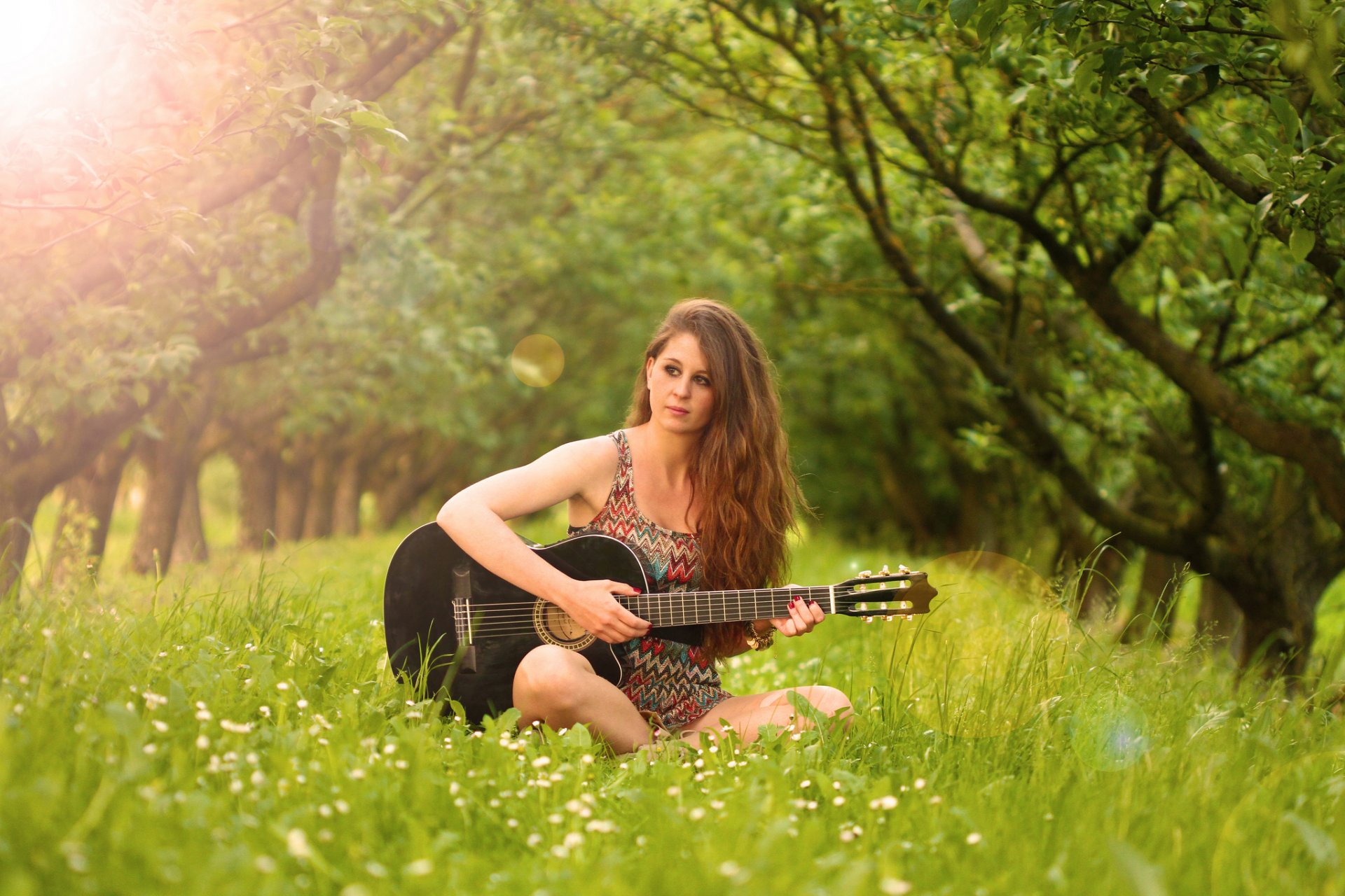 fanny guitars music