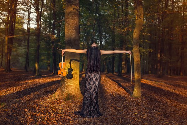 Like a lonely bird in the forest, the Autumn violin sings