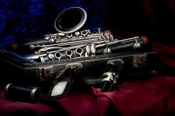 Velvet Clarinet Case