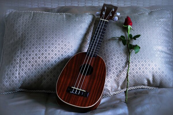 There is a ukulele and a rose on the pillow