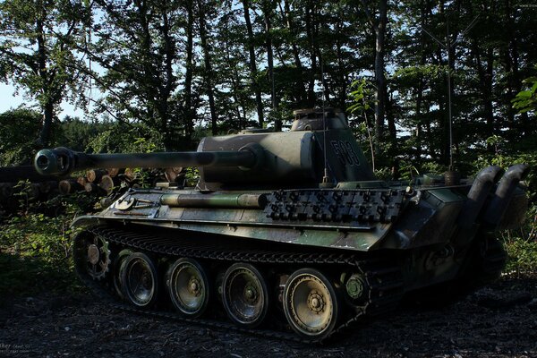 Tank on the background of the evening day