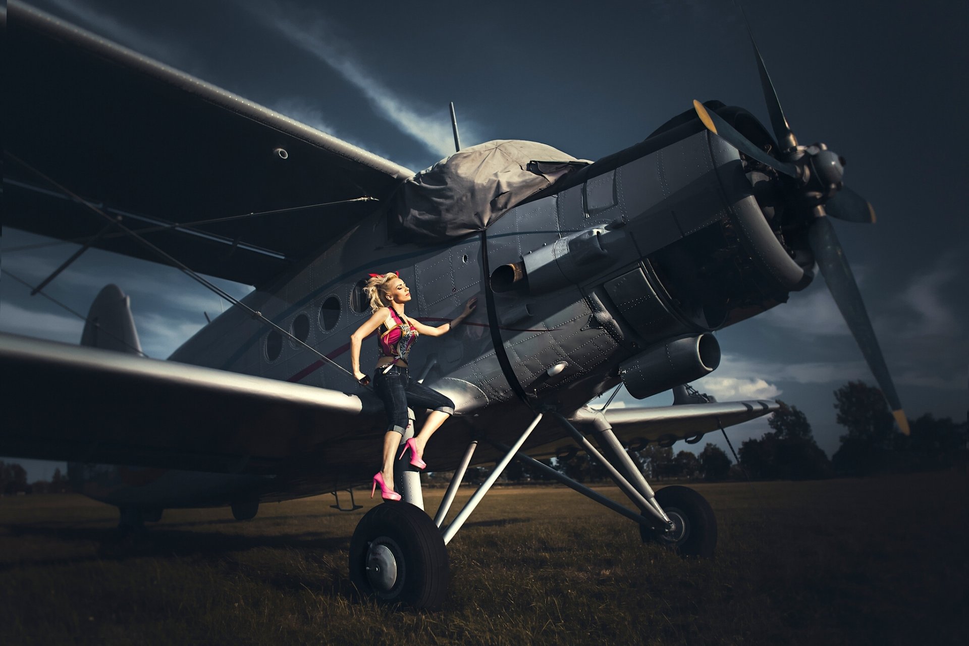 model pose plane biplane