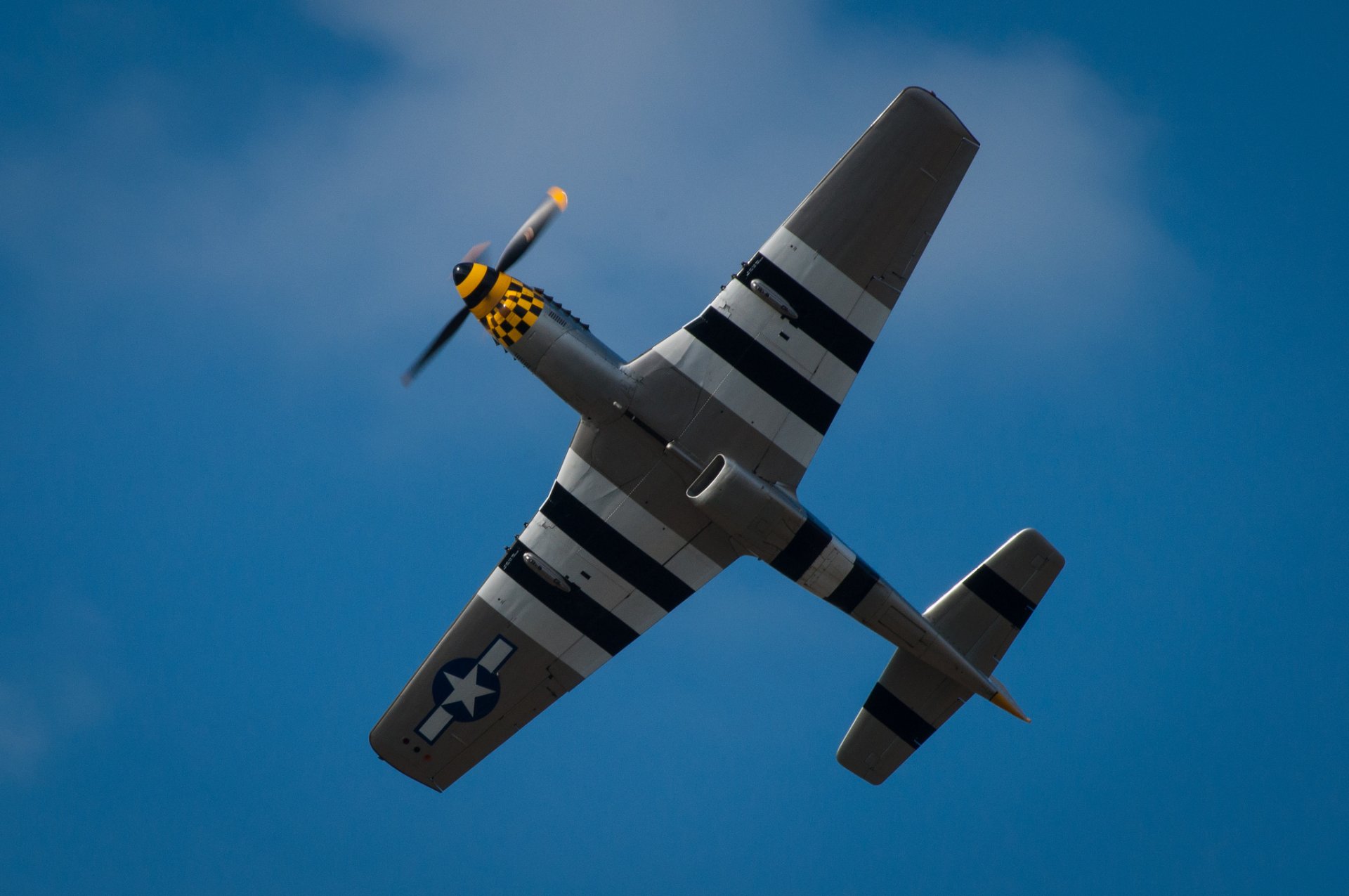 p-51d mustang single fighter wing