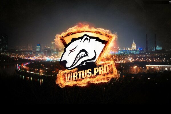 Polar bear logo on the background of the night city