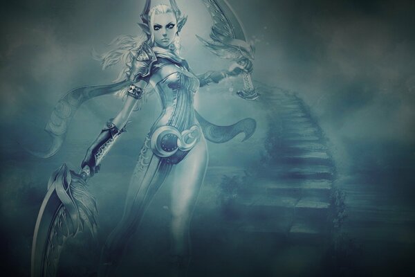 The elf from mmorpg tera online with two swords