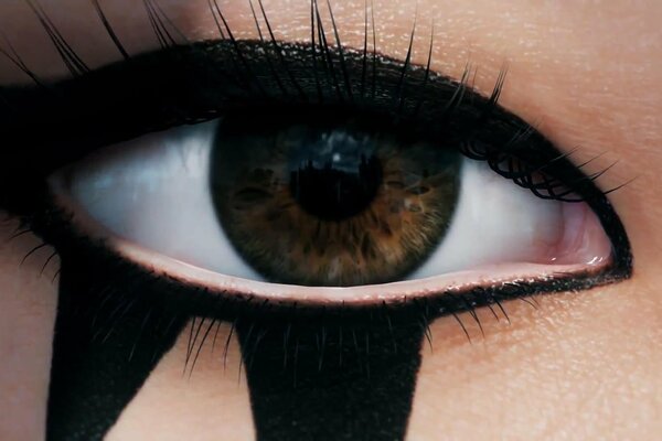 Beautiful makeup girl with brown eyes