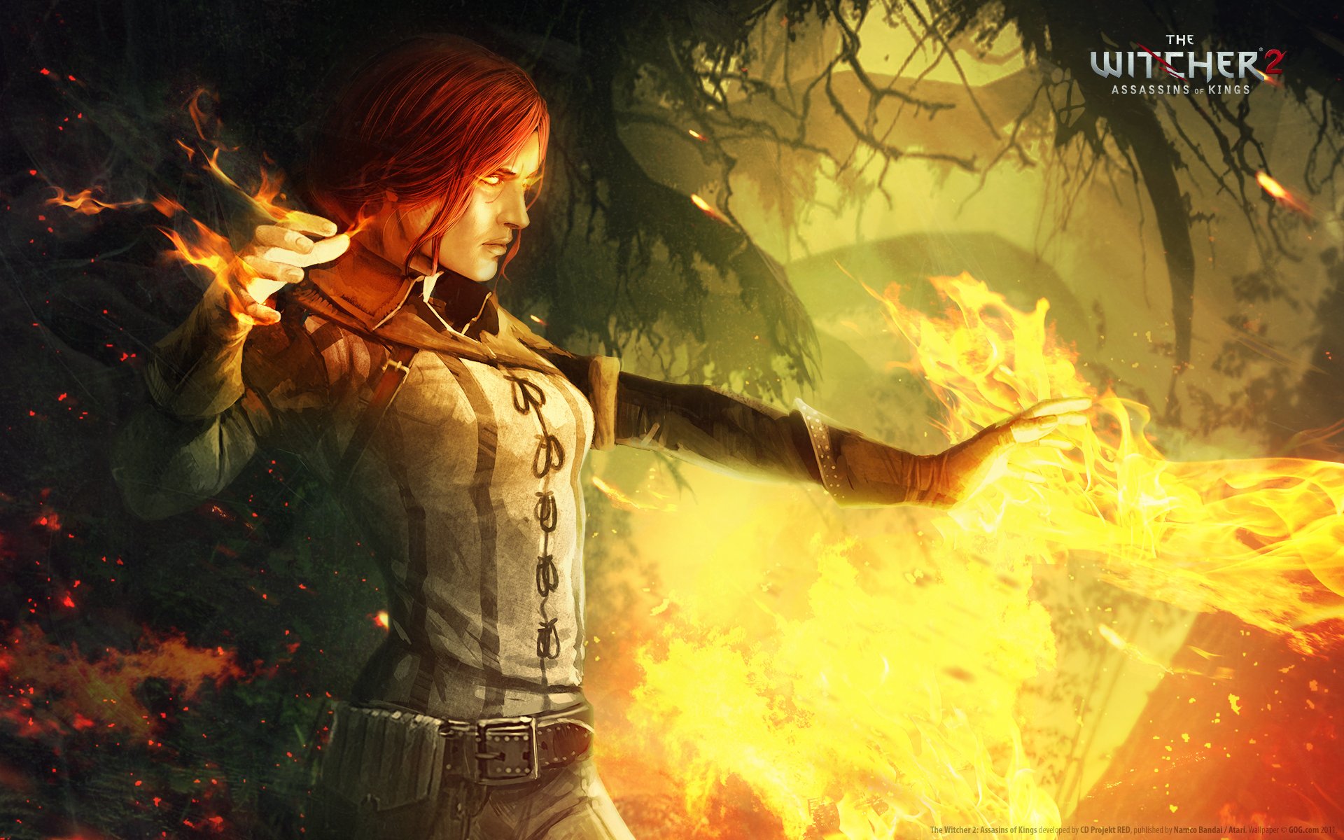 the witcher 2 assassins of kings triss fire