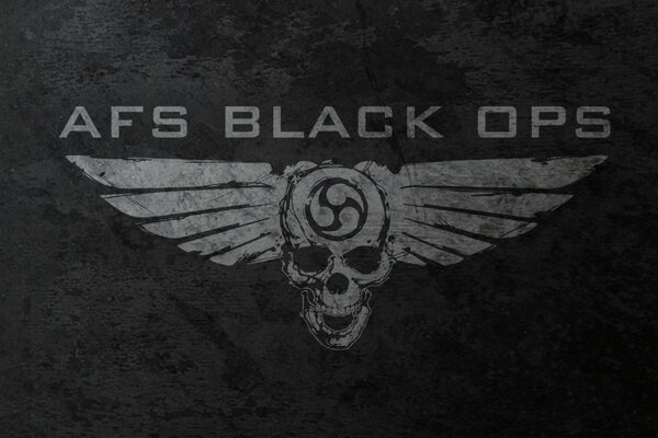 Drawing of a skull with wings from Afs black ops