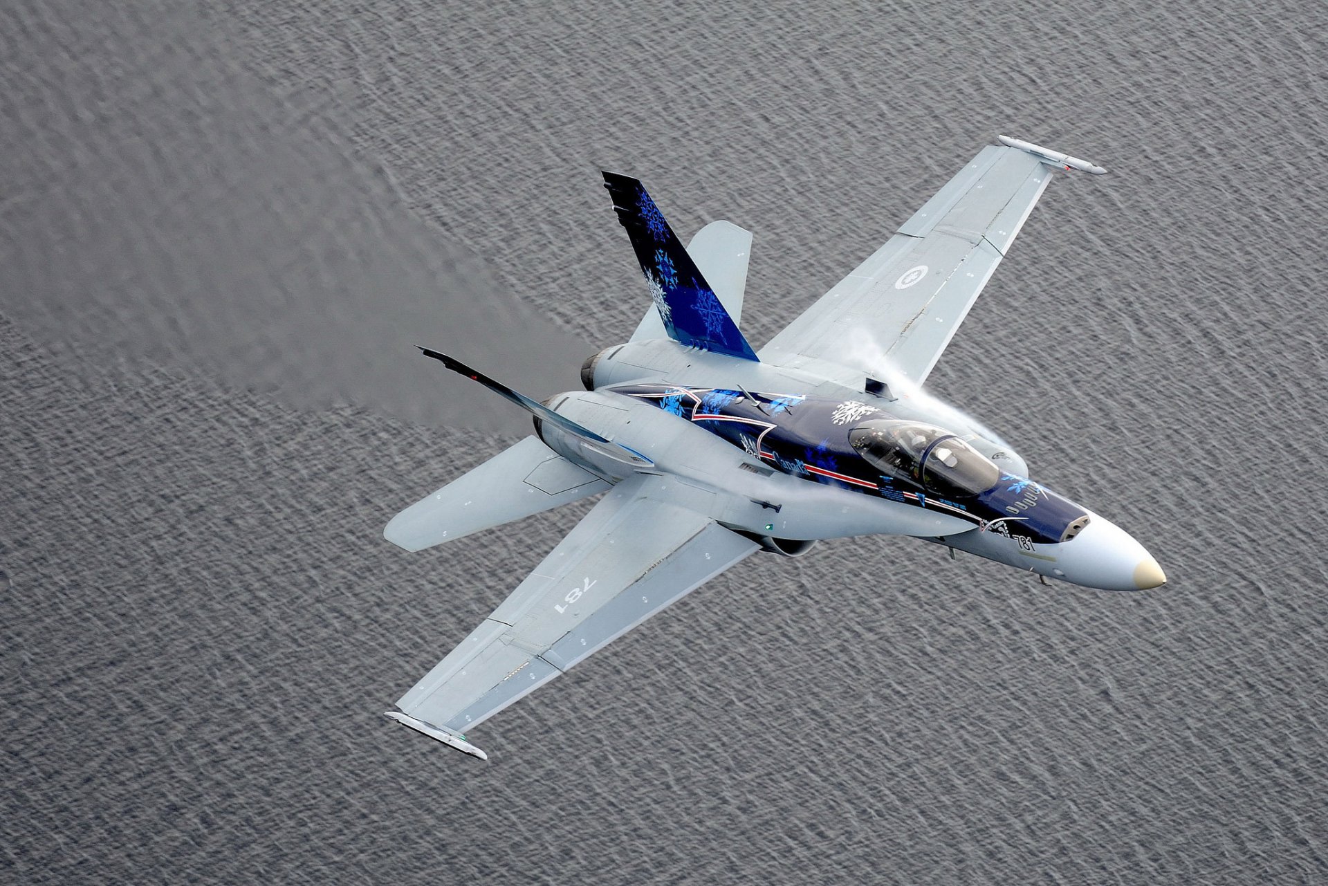 cf-18 hornet fighter interceptor