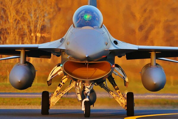 There is a fighting falcon on the road