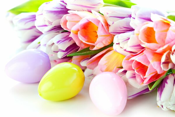 Spring tulips with eggs for Easter
