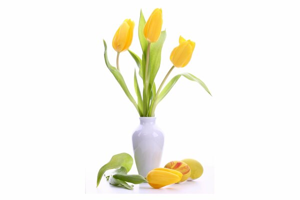 The most delicate yellow tulips in a white vase