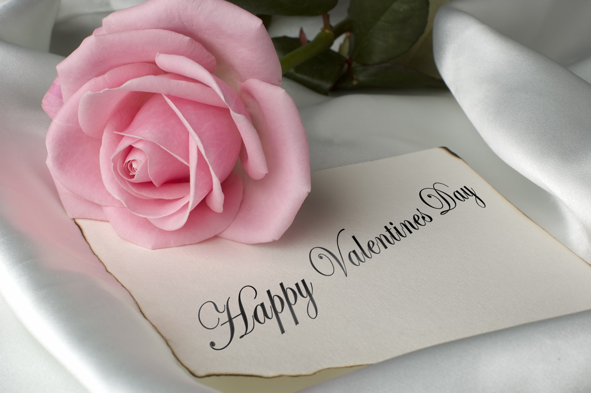 flowers happy valentine s day pink pink roses pretty romance novels romantic grown up valentine s day with love pink rose romance rose