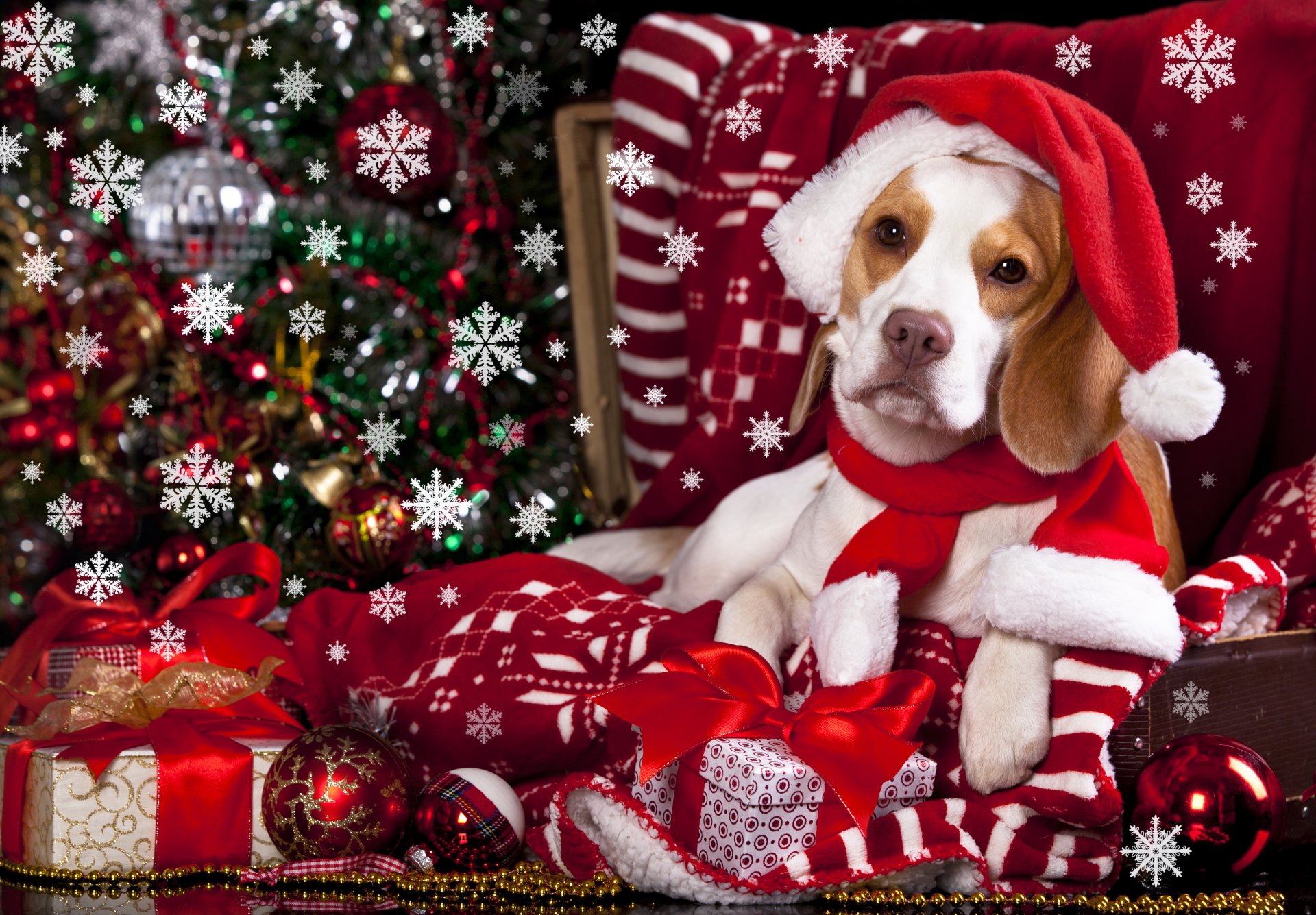 dog cap scarf gifts toys bulbs snowflakes plaid
