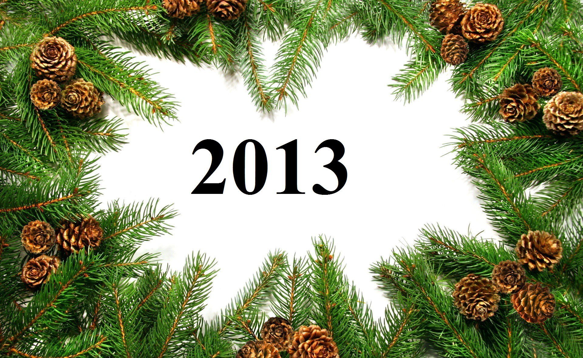 happy new year new 2013 year branches cone