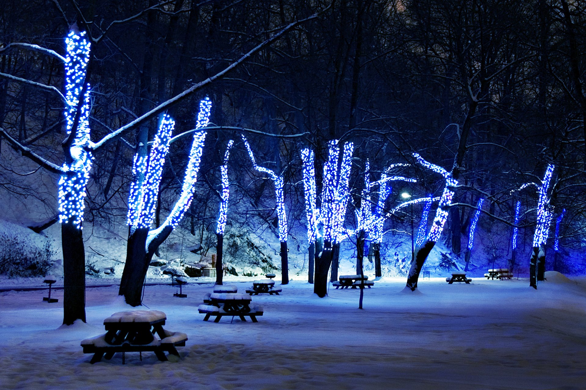 now tree illumination