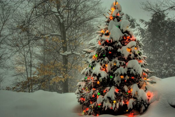 A Christmas tree in garlands stands in the forest
