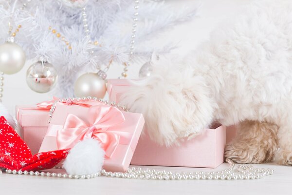 Gifts in soft pink tones for the new year