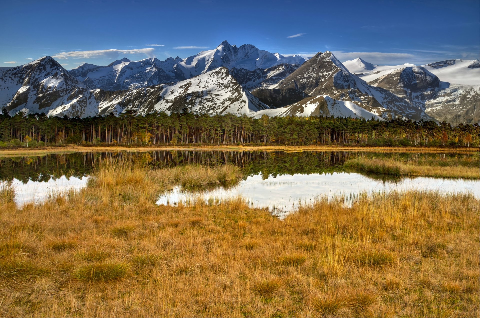 mountain snow forest tree lake water grass sky