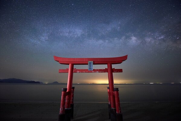 Torii Gate under the starry sky