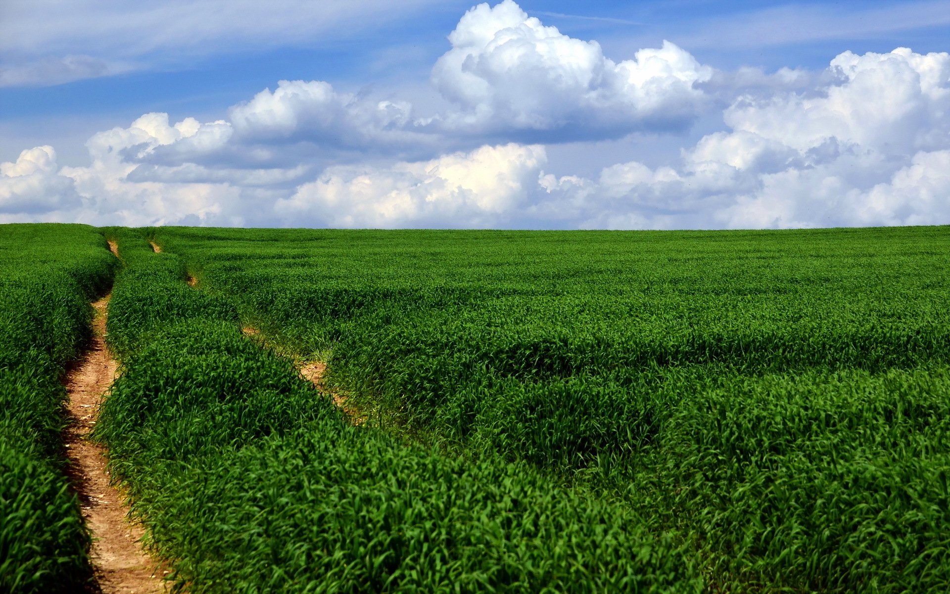 the field road landscape