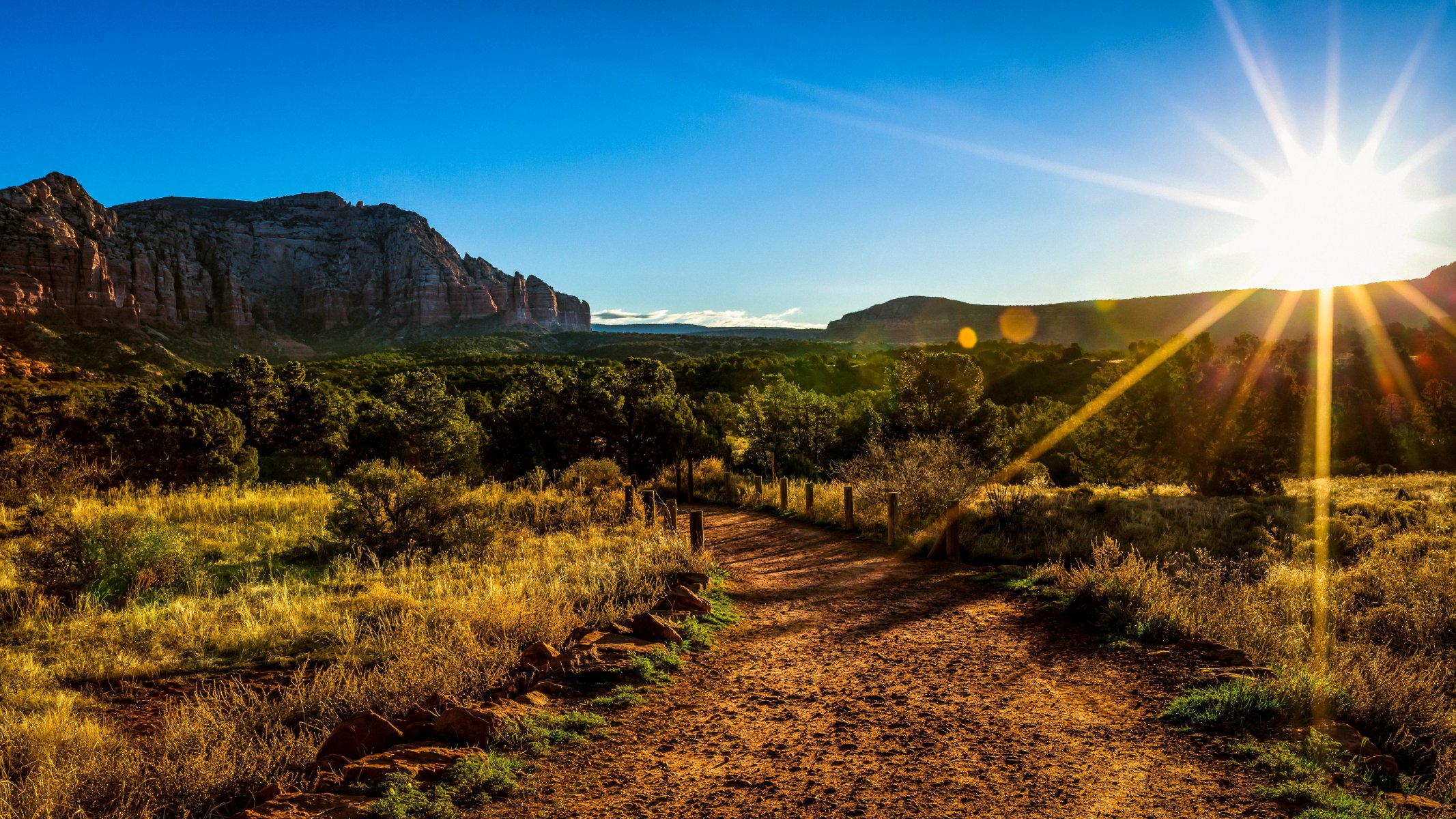 the sun also rises arizona sun tree mountain