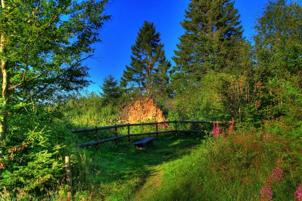 Germany Hesse landscape with bench