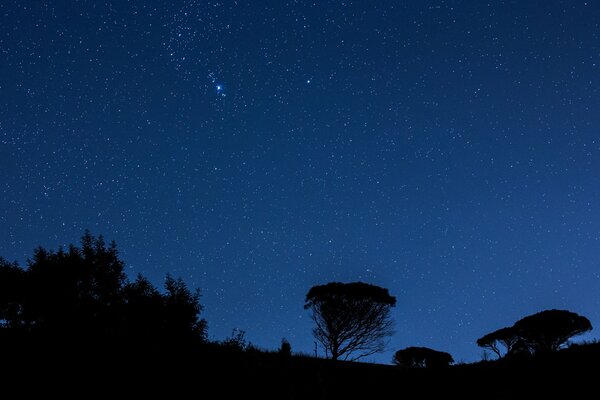 View of the night sky with stars in Italy