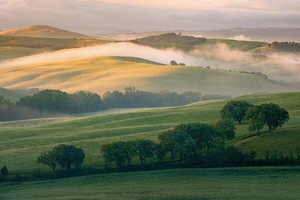 Fields in Italy in the morning with fog