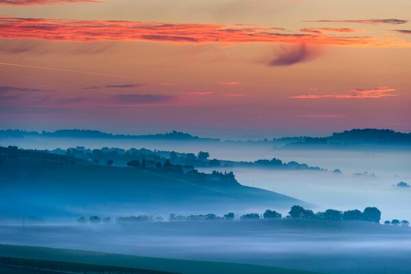 Morning sky fog trees