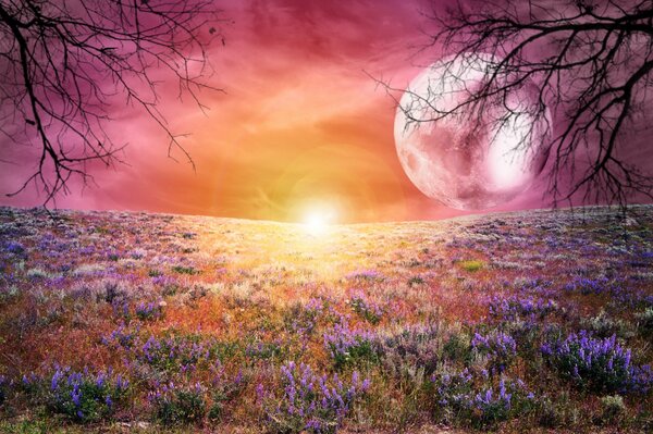 The brightness of the colors of a fabulous sunset