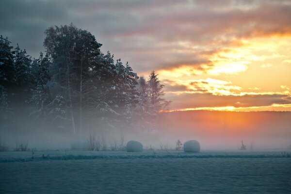 Beautiful northern winter in Sweden