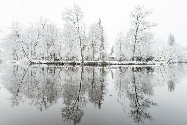 The trees are covered with frost reflected in the water