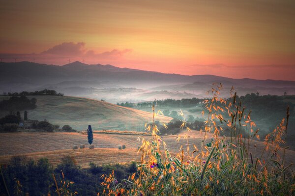 Italian autumn fields